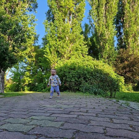 Roza Hotel Es Apartmanhaz Esztergom Exteriör bild