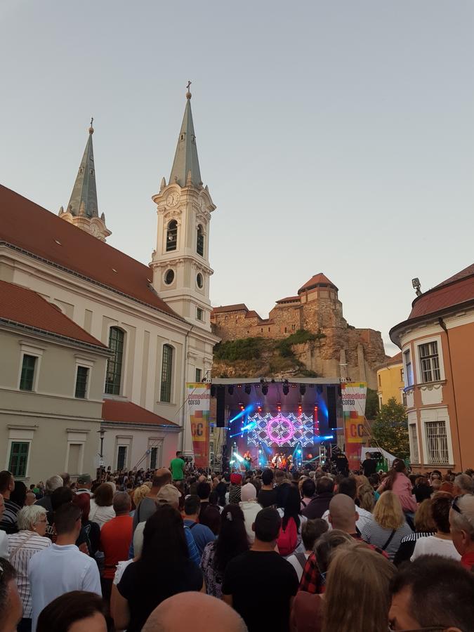 Roza Hotel Es Apartmanhaz Esztergom Exteriör bild