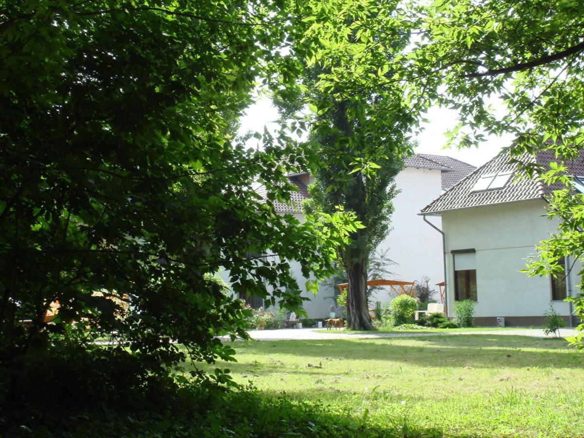 Roza Hotel Es Apartmanhaz Esztergom Exteriör bild