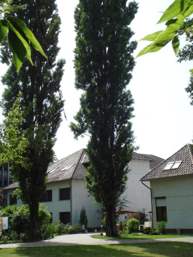 Roza Hotel Es Apartmanhaz Esztergom Rum bild